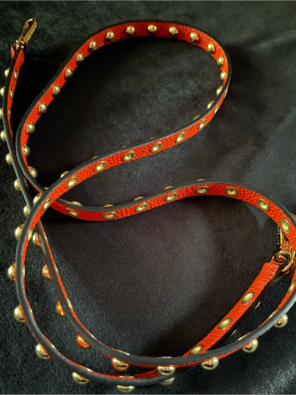 Bandolier Annie Red Leather Studded Crossbody Strap